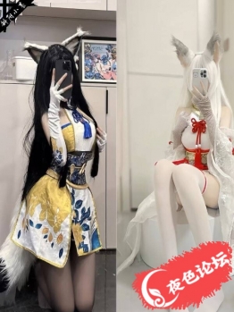 白云金沙洲猫猫