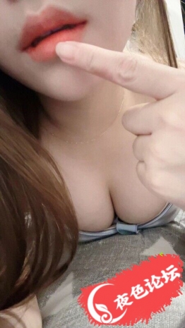白云金沙洲可可
